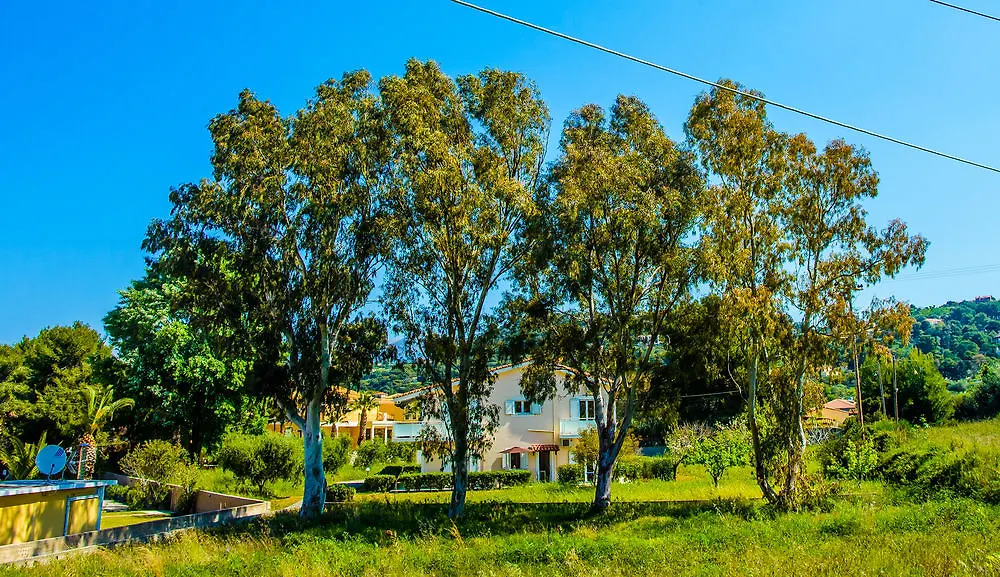 Aloni Studios & Apartments Lassi  2*, Lassi (Kefalonia)